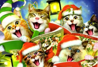 Singing Cats Christmas Cards 75246 - Leanin 