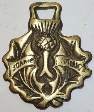 Vintage Brass Bonnie Scotland Horse Harness Medallion