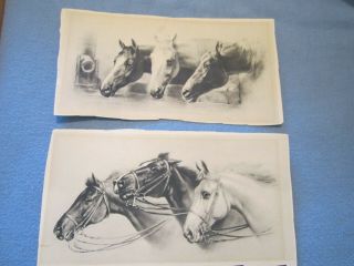 Vintage Black And White Horse Prints/pictures