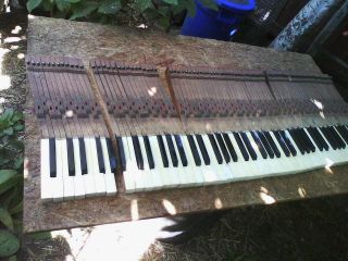 Vintage Piano Keys,  All 88 Keys,  From Ca.  1880 Upright Grand Piano