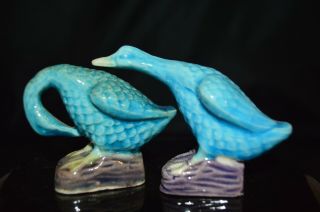 Antique Chinese Republic Period Export Turquoise Blue Parrots Figurine Pair 6 Cm