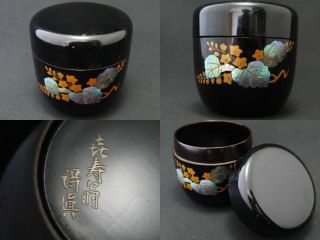 Japan Lacquer Wooden Tea Caddy Paulownia Makie W/ Mother Of Pearl Natsume 803
