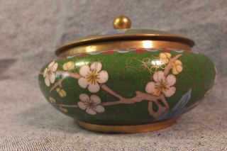 FINE VINTAGE CHINESE CLOISONNE COVERED PRUNUS BOWL W BUTTERFLIES 12CM 2