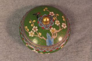 FINE VINTAGE CHINESE CLOISONNE COVERED PRUNUS BOWL W BUTTERFLIES 12CM 3