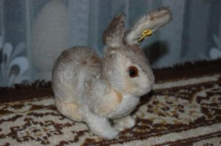 Old Vintage 1960s Steiff Germany Gray White Mohair Rabbit Silver Button Tag