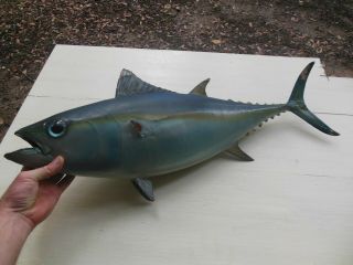 Vintage 30 " Tuna Fish Mount Sea Ocean Saltwater Taxidermy Real Skin
