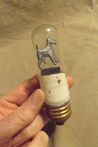 Vintage Antique Early Lightbulb W Scottie Dog Scottish Terrier Inside