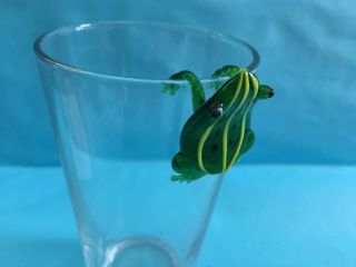 Art Glass Frog Glass Hugger Pot Hugger Novelty Decor
