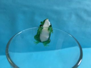 Art Glass Frog Glass Hugger Pot Hugger Novelty Decor 3