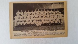 Phillies 1951 Team Picture Eddie Waitkus Richie Ashburn Robin Roberts