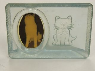 Cat Motif Plastic Picture Frame 6 " X 4 "