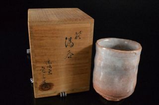 Z2468: Japanese Hagi - Ware White Glaze Sencha Teacup Yunomi,  Auto W/signed Box