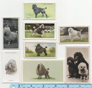 Poodle Dog Pet Canine 8 Different Vintage Ad Trade Cards 4
