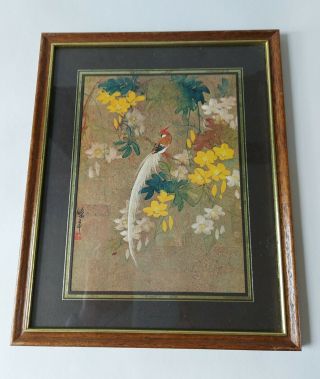 Japanese Vintage Watercolour Print Of Bird Of Paradise Framed & Glazed