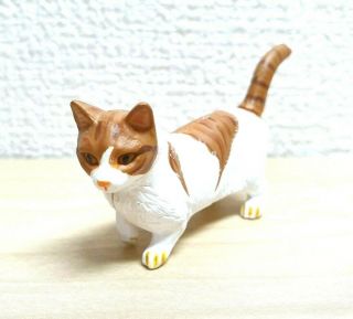 Kaiyodo Takara Chocoq Pet Munchkin Cat Animal Figure Choco Q