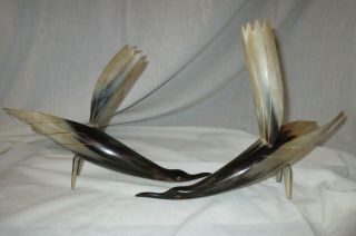Carved Horn Bird Art Sculpture from Africa Vintage 1950 2