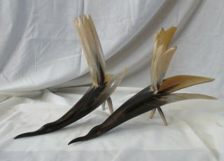 Carved Horn Bird Art Sculpture from Africa Vintage 1950 3