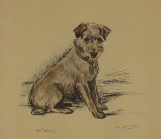Jack Russell / Border Terrier - Lucy Dawson Dog Print