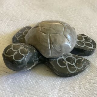 Carved Natural Stone Sea Turtle Figurine 2 - Part Fetish Good Luck Agate Jasper