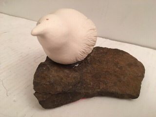 Hand Carved & Painted Stone Arctic Bird Signed By Laufey Jensdottir Iceland