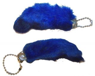 6 Blue Real Rabbit Foot Key Chains Novelty Fur Rabbits Feet Keychains Bunny
