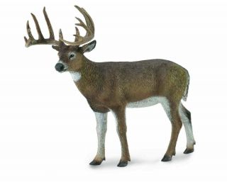 Collecta White - Tailed Deer 88832 Wildlife Model Breyer Toy Figurine