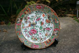 19th Century Antique Chinese Porcelain Hand Painted Flower Butterfly Plate