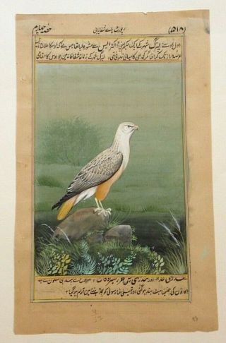 Hand Painted Persian Bird Falcon On Antique Arabic Manuscript Leaf