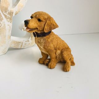 Barkers Hand Painted Golden Retriever 1996 Puppy Dog Gordon 5 