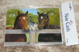Leanin Tree Horses With Kitten At The Fence 35537 Pack 8 Notecards Blank Inside