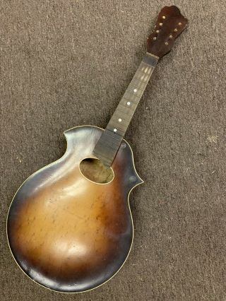 Vintage 1930’s Kay Or Regal Birdseye Maple Venetian Mandolin Body/neck Project