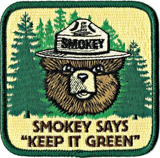 ⫸ Large Official Smokey Bear Says Keep It Green Embroidered Patch Usfs Oo