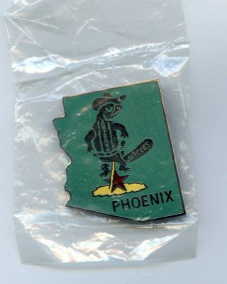 Arizona Jaycees Souvenir Pin.  Cool Looking Gator ?