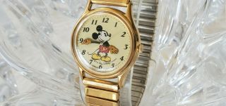 Vintage Lorus Mickey Mouse Walt Disney Watch V - 515 6000 Quartz Watch (18)