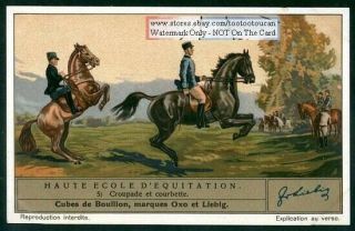Croupade En Courbette Schooling Training Horses 1930s Trade Ad Card