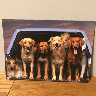Inspirational Dog Greeting Cards Note Cards 10 Different,  5 7 " X 5 "