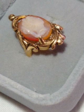 Vintage Ladies Conch Cameo Ring 14kt Yellow Gold Size 5