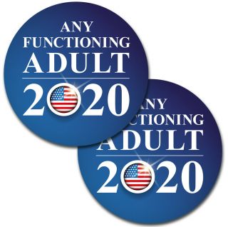 2 Pack Any Functioning Adult 2020 4 " Decal/sticker - Funny Political Bumper