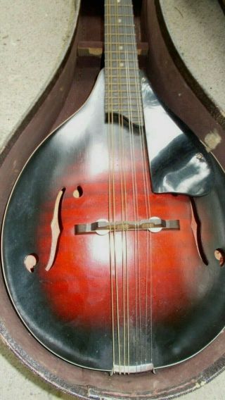 Vintage Harmony A Style Mandolin Case