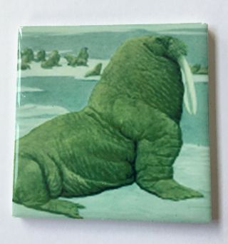 Walrus Art Ceramic Tile Coaster Gift