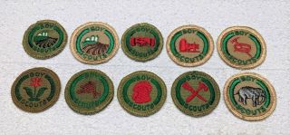 Mountaineer Boy Scout Proficiency Award Badge Tan Cloth Troop Large 3