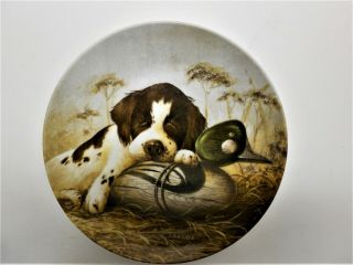 , Springer Spaniel Collectors Limited Edition Plate " Dog Tired " Usa