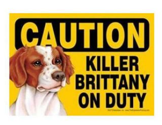 Funny Dog Sign Caution Killer Brittany On Duty Magnet 7 " X 5 "