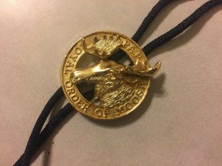 Loyal Order Of Moose Lodge Pap - Gold & Black - Western Bolo Tie Necklace