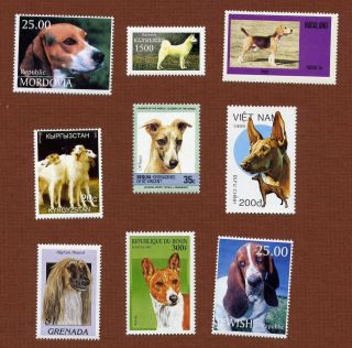 20 Hound Group Dog Postage Stamps,  All Different