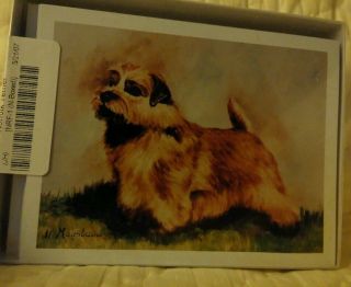 Norfolk Terrier Dog Note Cards With Envelopes By Ruth Maystead