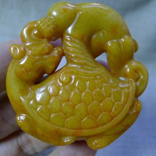 Jade,  Pendant,  Chinese Red Mountain Culture,  Hand - Carved,  Dragon And Turtle Beas