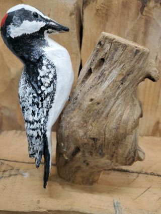 Vtg Red Cockaded Woodpecker Wood Carving Hand Carved Duck Decoy Audubon Society