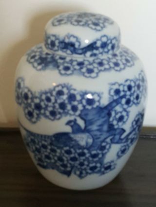 Antique Chinese Or Japanese Blue White Porcelain Jar W/lid Phoenix Cherry Motif