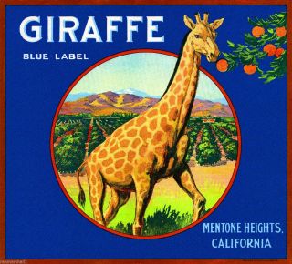 Mentone Valley San Bernardino Giraffe Orange Citrus Fruit Crate Label Art Print